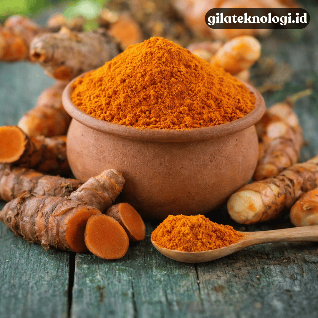 Takaran Kunyit Segar vs Bubuk untuk Nasi Kuning Pas